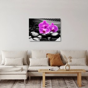 Üveg kép - Lila orchideák (70x50 cm)