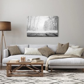 Kép - Fából készült móló télen (90x60 cm)