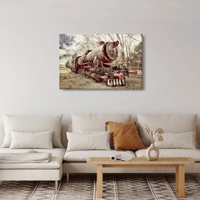 A mozdony történelmi képe (90x60 cm)