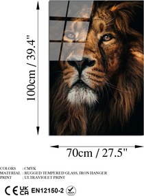 Üvegkép, 70×100 cm – UV-159