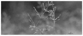 Kép - Vidéki rét (120x50 cm)