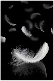 Fotótapéták 122x184 Hulló fehér tollak