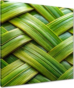 Vászonkép 50x50 Zöld fonott Zöld rattan fonott lemez