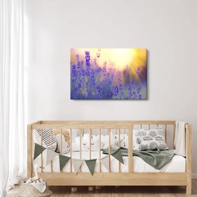 Kép - Levendula (90x60 cm)