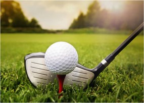 Kép - Golf (70x50 cm)