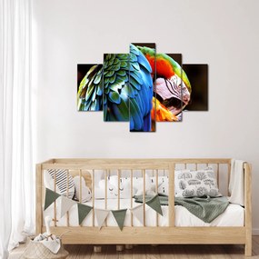 Kép - Papagáj (150x105 cm)