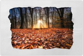 Poszterek 120x80 Őszi kilátás Tájkép