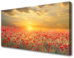 Canvas kép Sun Meadow Poppy Flowers 100x50 cm