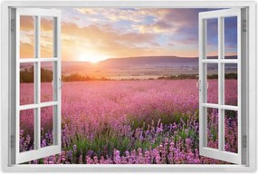 Poszterek 60x40 Csodálatos naplemente