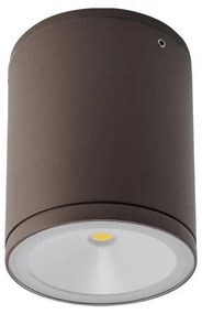 REDO-9063 ETA Barna színű Kültéri Mennyezeti Lámpa LED 6W IP54