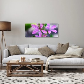 Részletes virágkép (120x50 cm)