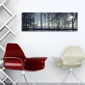 Vászonkép, 30×90 cm – 3090DACT-37