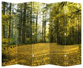Paraván - Erdő ősszel (210x170 cm)