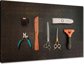 Vászonkép 90x60 Akcesoria kutya hajvágáshoz