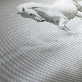 Kép - Fehér ló (90x60 cm)