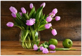 Poszterek 200x135 Lila tulipánok