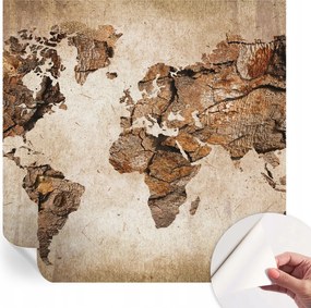 Öntapadós fotótapéta Nappali és Hálószoba irodába Fa térkép 250x250