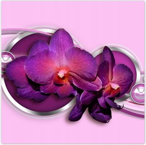 Poszterek 100x100 Lila orchidea