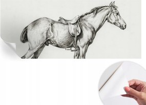 Fotótapéta Fali tapéta Hálószobába és Nappaliba Ló vázlat 250x104 cm