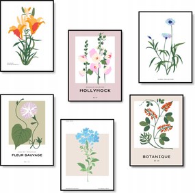 Poszterek A Konyhába Fali Dekoráció Virágok Poszter 6 db A3 *Sok minta*