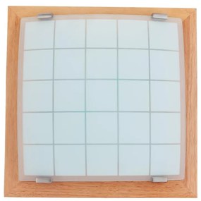 Fali mennyezeti lámpa GEOMETRICA 1xE27/60W/230V 30x30 cm