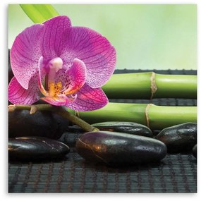 Gario Vászonkép Virágzó orchidea fekete köveken Méret: 40 x 40 cm