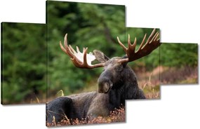 Festmények 130x80 Szarvas a csarnokban