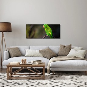 Papagáj egy ágon képe (120x50 cm)