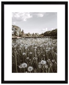 Kép 40x50 cm Meadow – knor