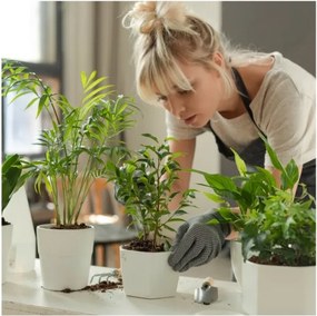 Fényerőszabályozható LED asztali növénynevelő lámpa VERDI LED/5W/5V 1300K fekete