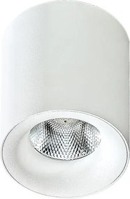 AZZARDO 2845 MANELED Hengeres Mennyezeti Lámpa LED IP20