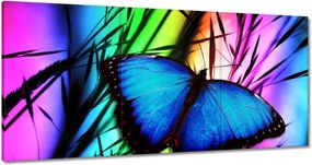 Vászonkép 60x30 Kék pillangó