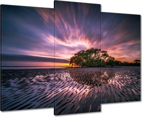 Vászonkép 90x70 Gyönyörű lila tájkép