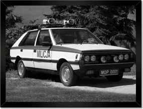 Poszterek keretben 40x30 Polonez Milícia