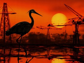 Poszter 80x60cm Alkonyat Ipari Daru