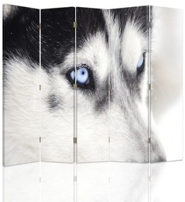 Gario Paraván Szibériai husky Méret: 180 x 170 cm, Kivitelezés: Klasszikus paraván