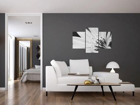 Kép - Fekete-fehér virág (90x60 cm)