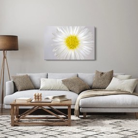 Kép - Margarita (90x60 cm)