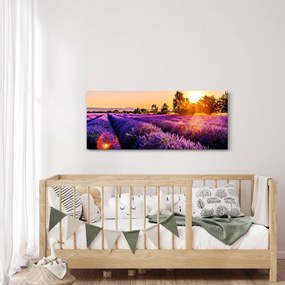 A levendula mező képe, Provence (120x50 cm)