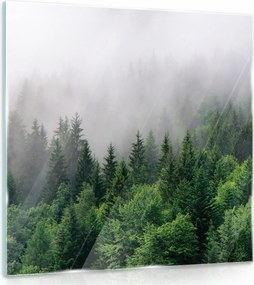 Üvegfestmény Erdő a ködben Konyha 30x30