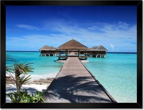 Poszterek keretben 40x30 Trópusok