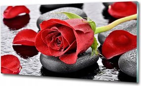 Fotó vászonkép edzett üveg Bambusz és pillangó 100x70