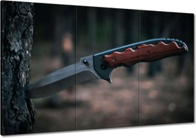 Vászonkép 120x80 Kés a fa kérgébe szúrva