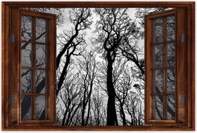 Poszterek 60x40 Erdő Fák Kilátás alulról