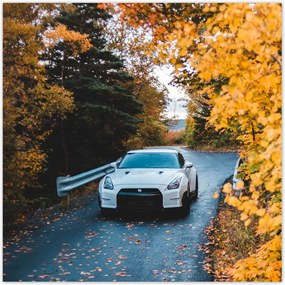 Poszterek 30x30 Autó-Motor Autók