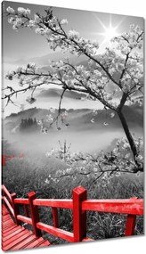 Vászonkép 80x120 Virágzó cseresznye Japán