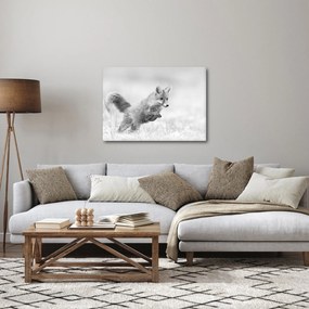 Kép - Ugró róka, fekete-fehér (70x50 cm)