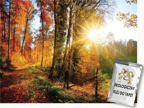 Fotótapéta Flizelina Természet Erdő Ősz Tájkép Nap 250x175 ragasztó