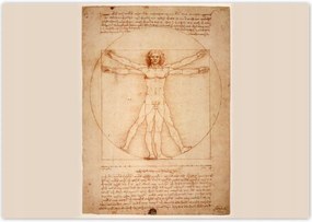 Fotótapéták 312x219 Vitruvius ember