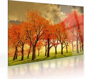 Kép - Ősz (üvegen) (70x50 cm)